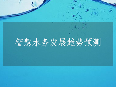 2023-2028年全球及中國智慧水務行業(yè)發(fā)展分析